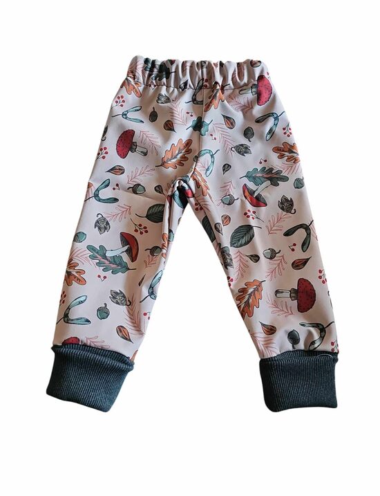 Rudens lapas uz vecrozā